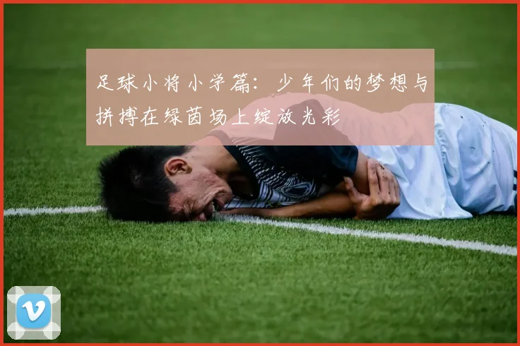 足球小将小学篇：少年们的梦想与拼搏在绿茵场上绽放光彩