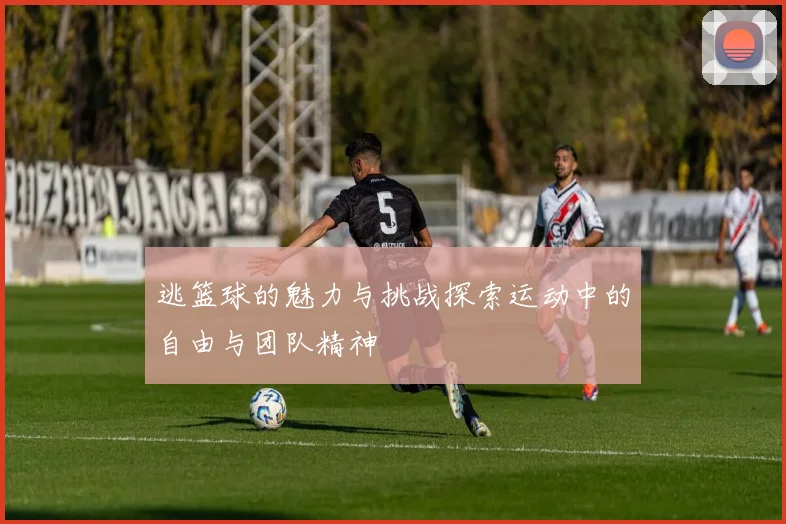 逃篮球的魅力与挑战探索运动中的自由与团队精神